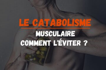 catabolsime musculaire
